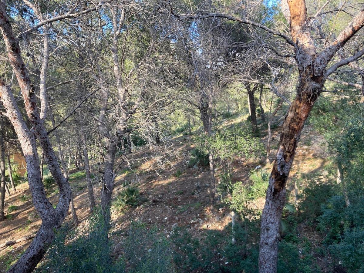 Apartamento Con Vistas Al Mar Castelldefels Ngoại thất bức ảnh